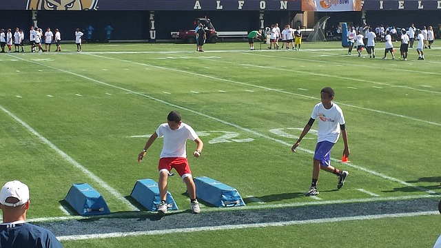 体育代表团 体育代表团