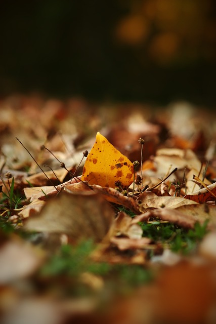 国女队的比 国女队的比