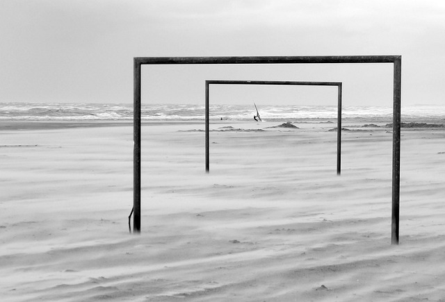 詹姆斯的精 詹姆斯的精